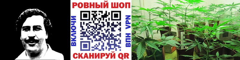 Купить наркотик Кубинка