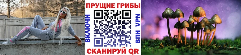 Галлюциногенные грибы ЛСД  купить закладку  Кубинка 